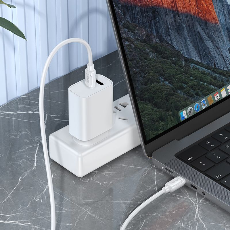 Καλώδιο USB-C σε USB-C Hoco PD 5A 240W 1m X115 λευκό - Image 5
