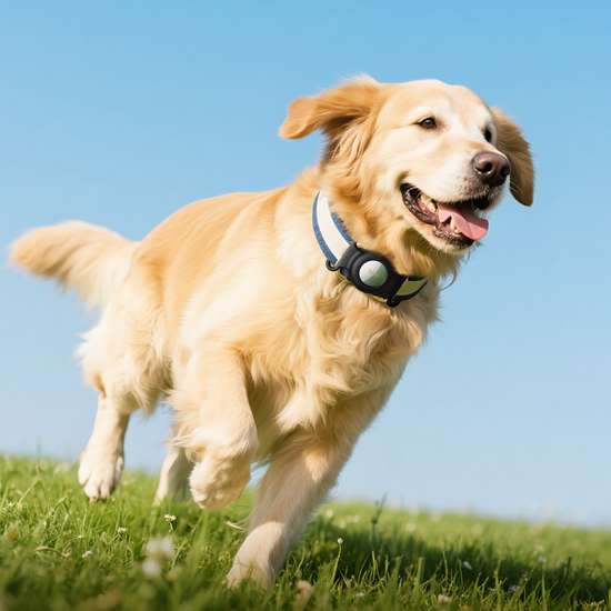 Pet locator συμβατός με Apple Find My Tracker Hoco E91C λευκό - Image 5